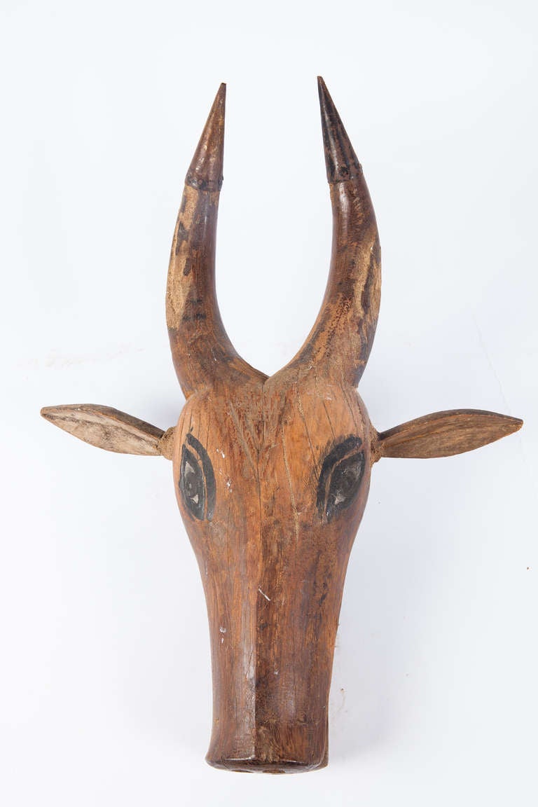 South Indian Carved and Painted Cow Head For Sale at 1stDibs