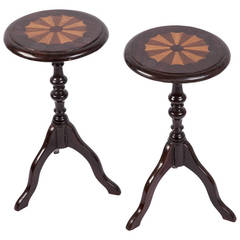 Pair of Short Specimen Tables from India