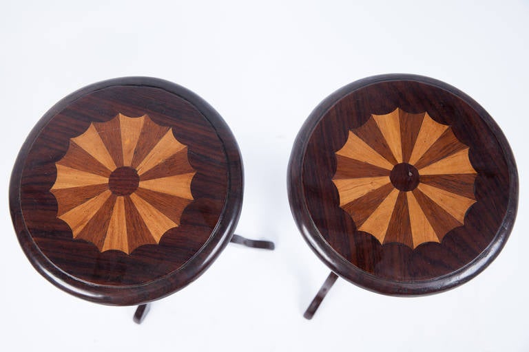Anglo-Indian Pair of Short Specimen Tables from India