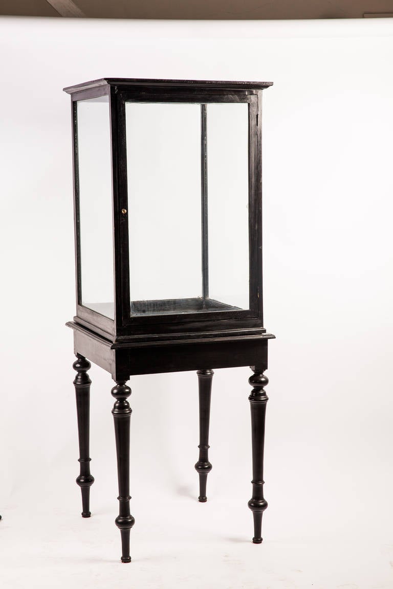 Anglo-Indian ebonized display cabinet on a separate stand. 

Cabinet dimensions:
35