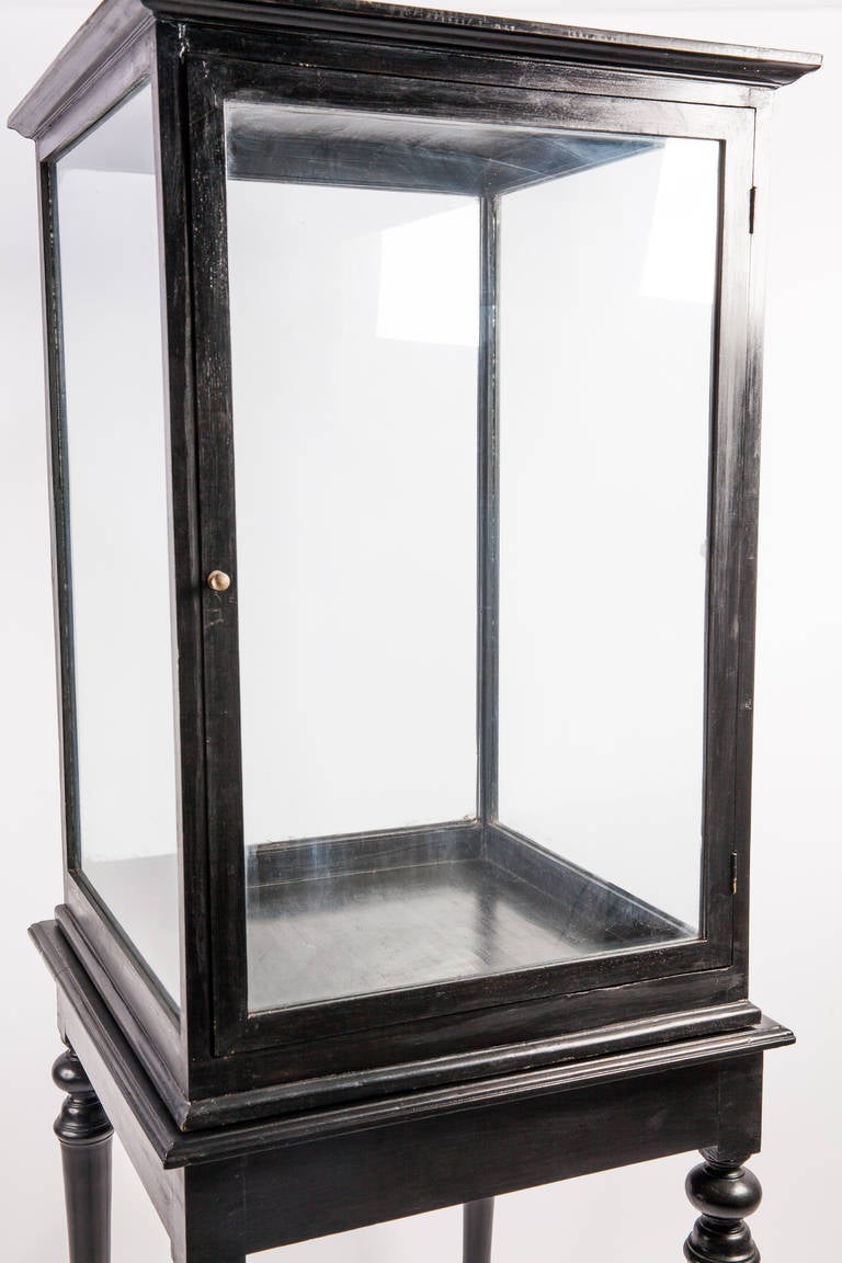 Anglo-Indian Ebonized Display Cabinet on Stand In Good Condition In Richmond, CA