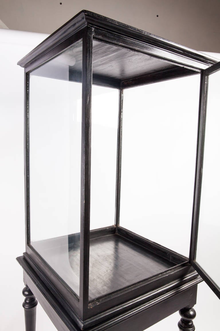 Glass Anglo-Indian Ebonized Display Cabinet on Stand