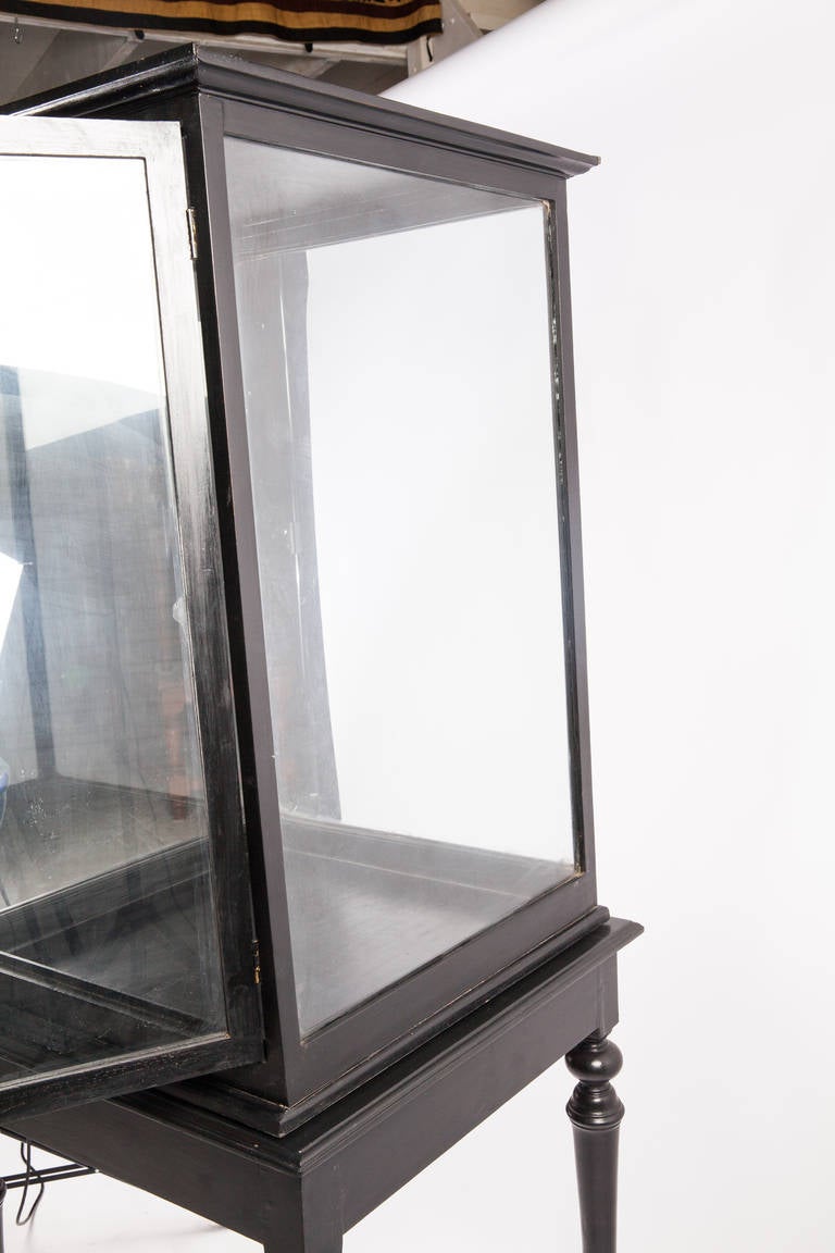 Anglo-Indian Ebonized Display Cabinet on Stand 1