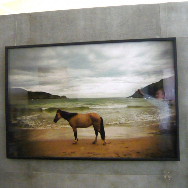 Color photograph by award winning photographer Brian Hodges. Depicting a single horse on a beach in Brazil.

9 Editions total. 

Price is listed for unframed. 

Brian M. Hodges has pursued his passion of photography traveling the world and