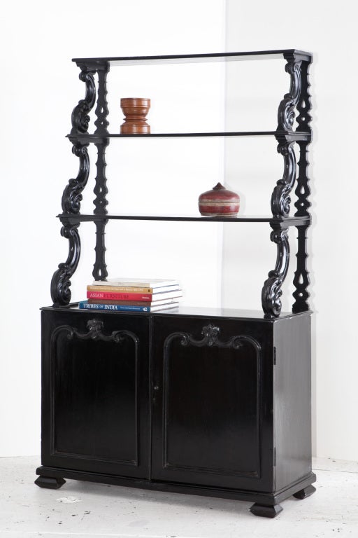 Anglo-Indian open bookcase newly ebonized. The bottom cabinet has applied wood carving and a removable shelf. The top shelves feature carved details on the sides.