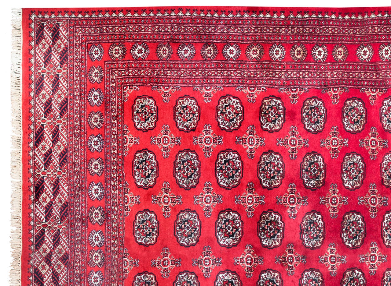 Beautiful Pakistan tribal carpet, repeat pattern in black with blue motifs on red ground, hand-knotted in 100 % wool, with cotton warps and wefts. A Pak Bokhara rug is a rug made in Pakistan using a Turkman pattern.