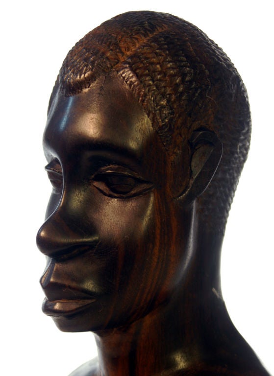 Skillfully executed bust of a Maasai tribes man, carved in a dense ebony. Ebony is found only in the Sahara desert; the interior of the tree is solid black and as you move away from the center the brown black grain appears as it does in this