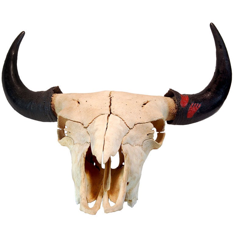 Großer Buffalo- Totenkopf mit Fußdruck der amerikanischen Ureinwohner im Angebot