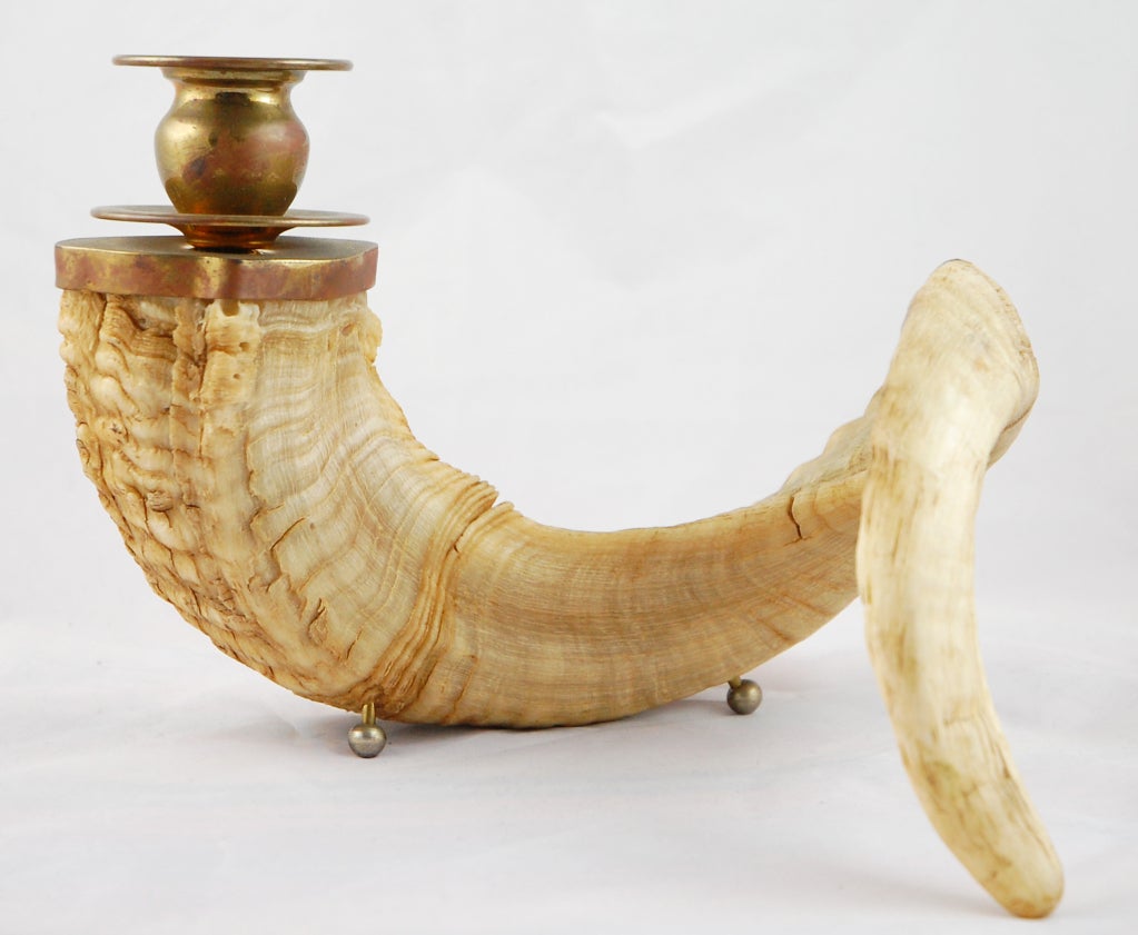 This large rams horn has a wonderful shape and a wonderful aged finish. The horn has been topped with a bronze candle holder and rests on three brass ball feet.