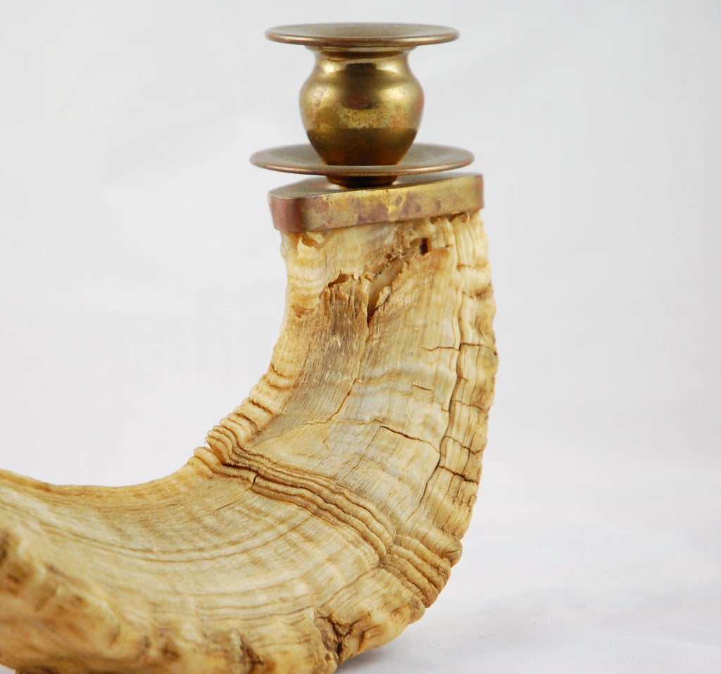 American Rams Horn Candlestick with Brass Accents For Sale