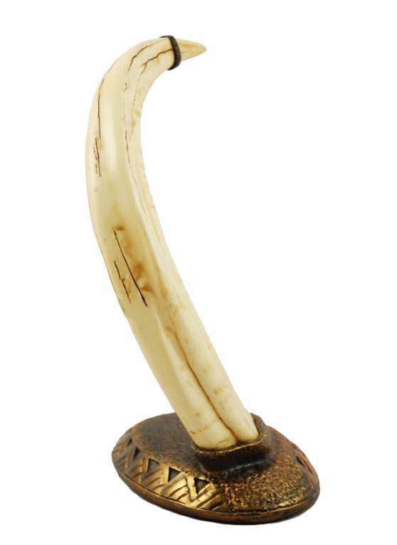 This African warthog tusk has been mounted on a cast bronze base with art deco detailing and bronze ring around point.