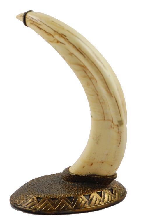 warthog tusks for sale