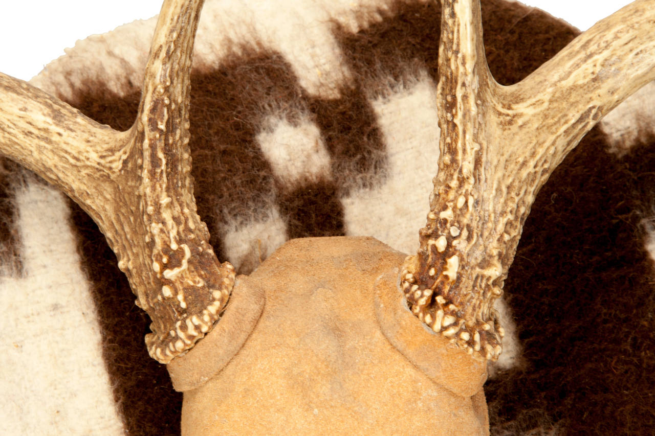 These antlers are mounters on a round plywood plaque covered in a brown and ivory blanket type textile. Skull covered in suede with piping around base of antlers.