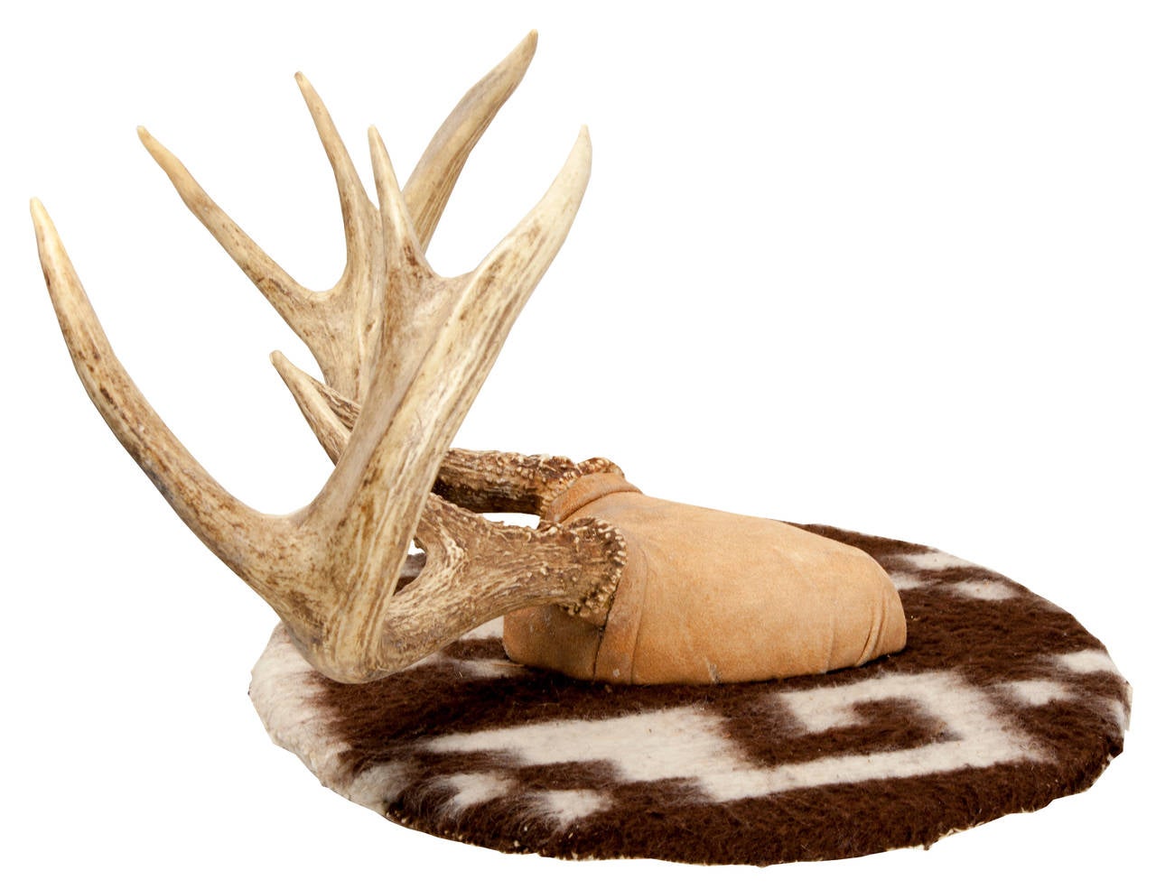 mule deer horns