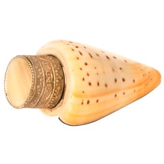 Antique Sea Shell Pill Box