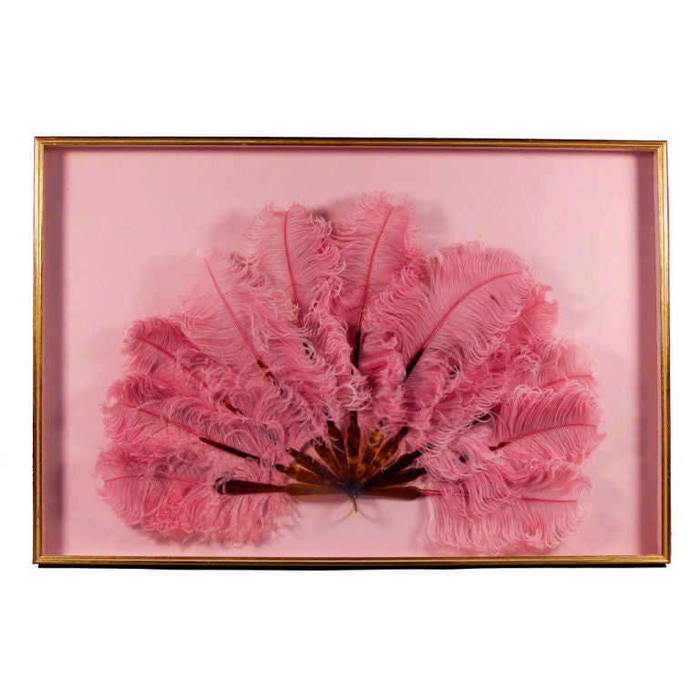 Circa 1910 Pink Marabou & Tortoiseshell Framed Fan