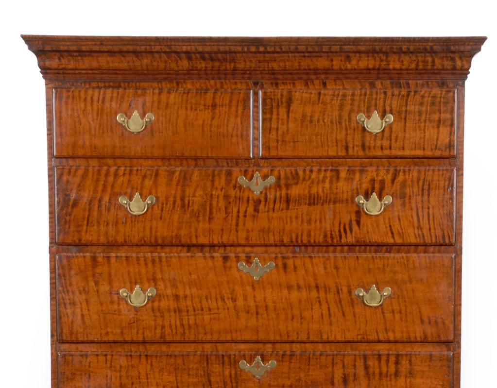 American A fantastic Queen Anne tiger maple high chest or highboy