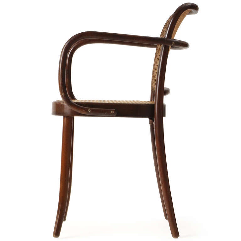 A modernist dining chair that is astonishingly strong and light in weight rendered in bentwood and cane, with an expressive fluid line of the curling arms that encircle the chair's back.