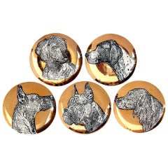 Canine Plates By Fornasetti