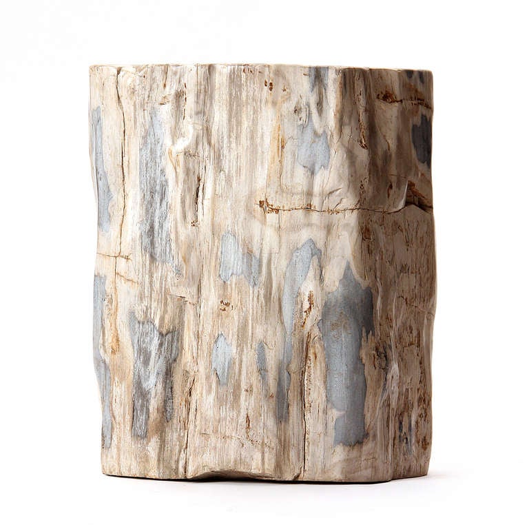 An occasional table, stool or stand made from a solid petrified tree trunk.