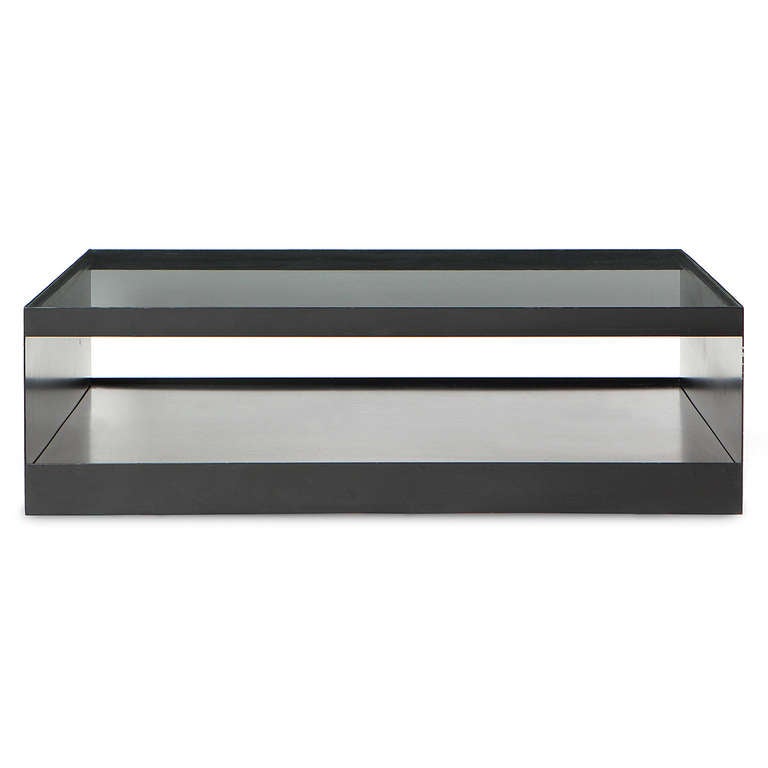 Steel Minimalist Low Table by Joe D'urso
