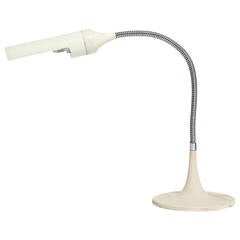 Adjustable Desk Lamp by Gino Sarfatti 4