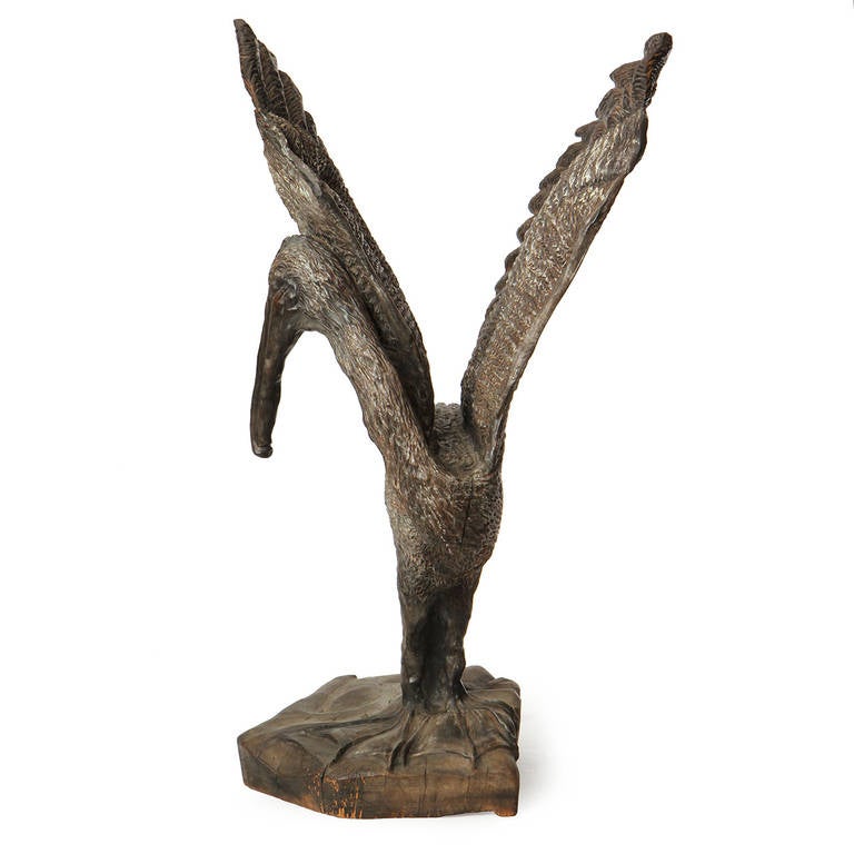 An impressive and exquisite large-scaled hand carved wooden sculpture of a perched pelican ready to take flight with wings outstretched. Signed 'Byrd Baker 1979'