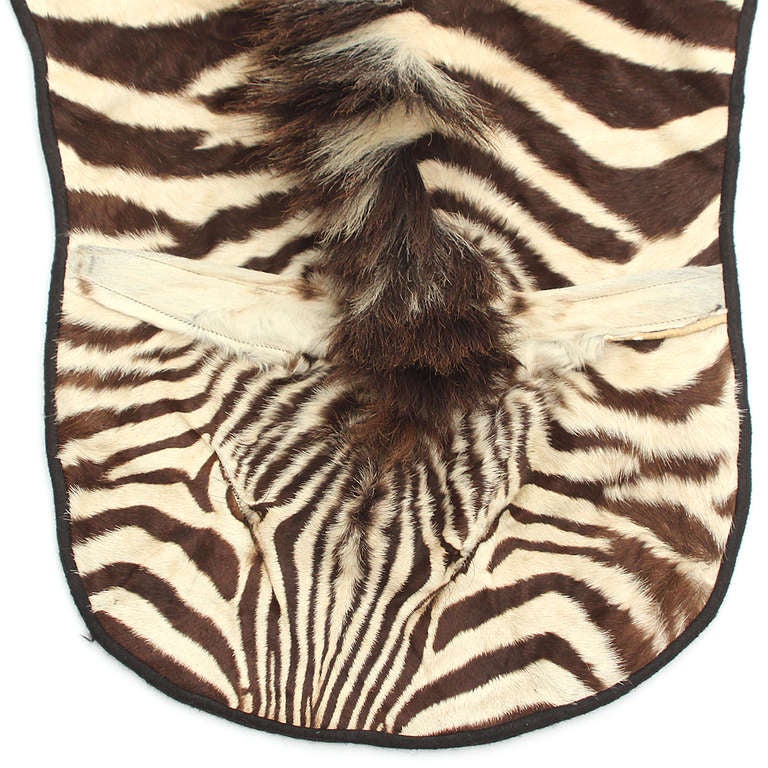 Fine Zebra Hide at 1stdibs