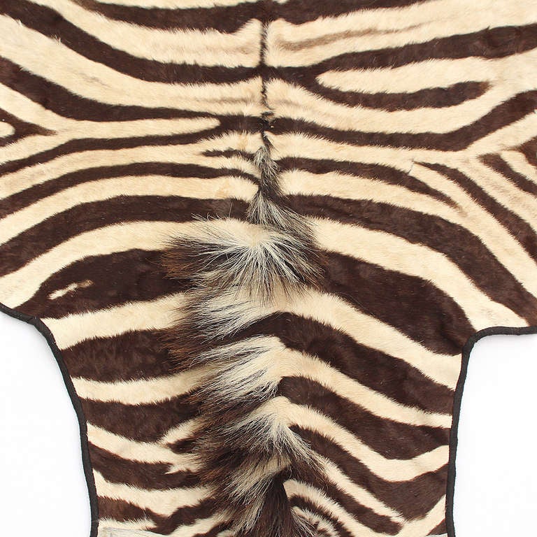 zebra hides zebra hides