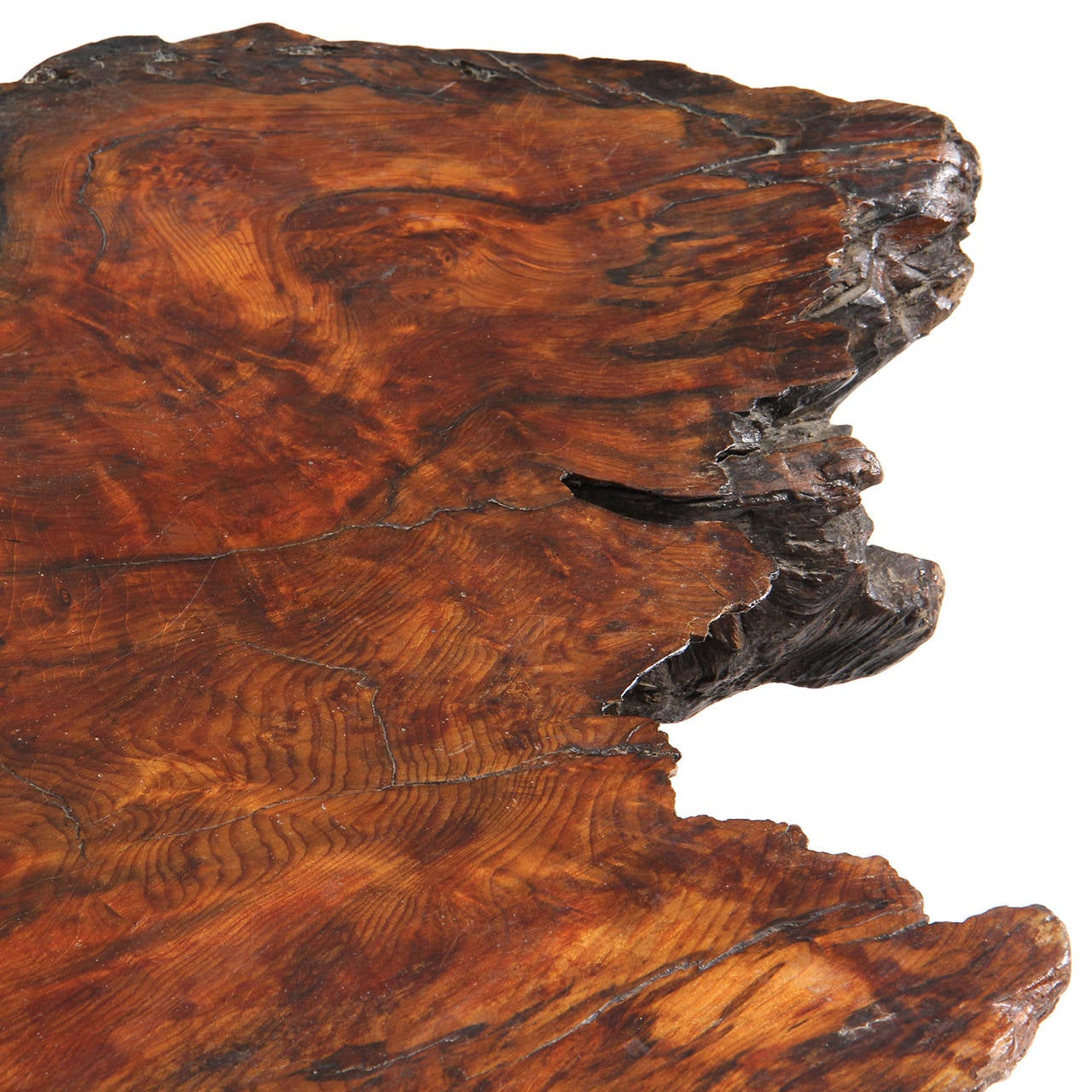 Organic Burl Rosewood Low Table For Sale 4