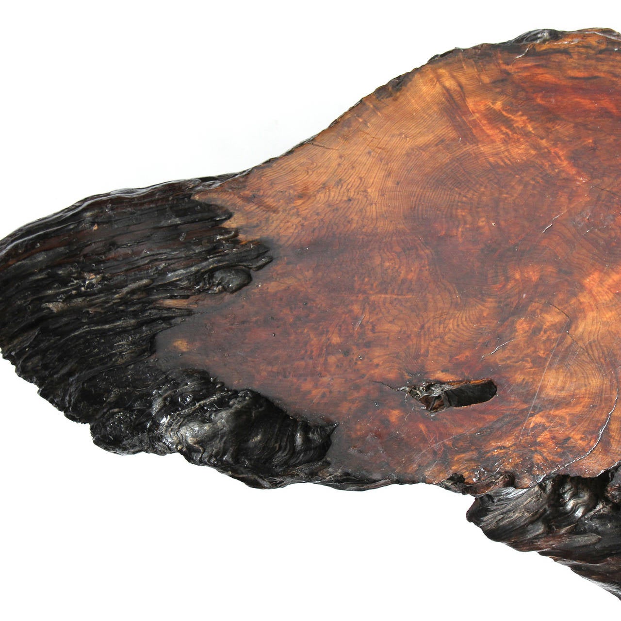 Organic Burl Rosewood Low Table For Sale 3