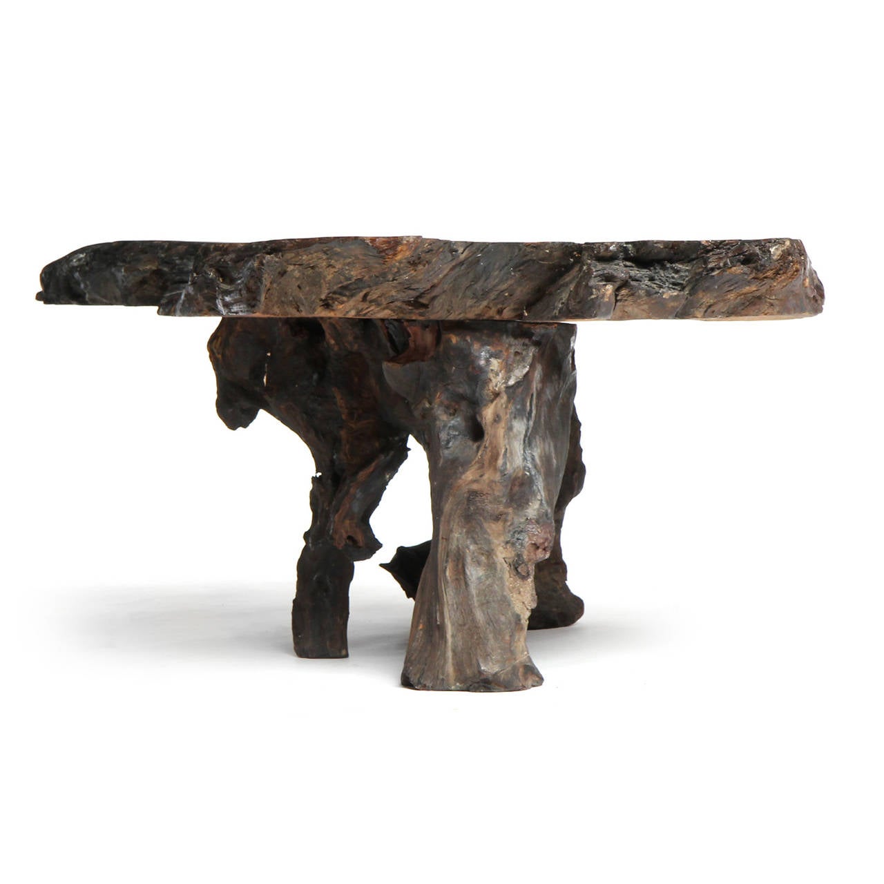 American Organic Burl Rosewood Low Table For Sale