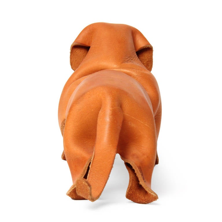 dachshund leather