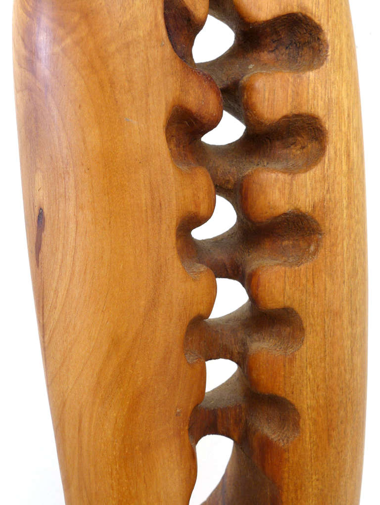 Fantastic Biomorphic Carved Wood Sculpture by Robin Spry Campbell 1