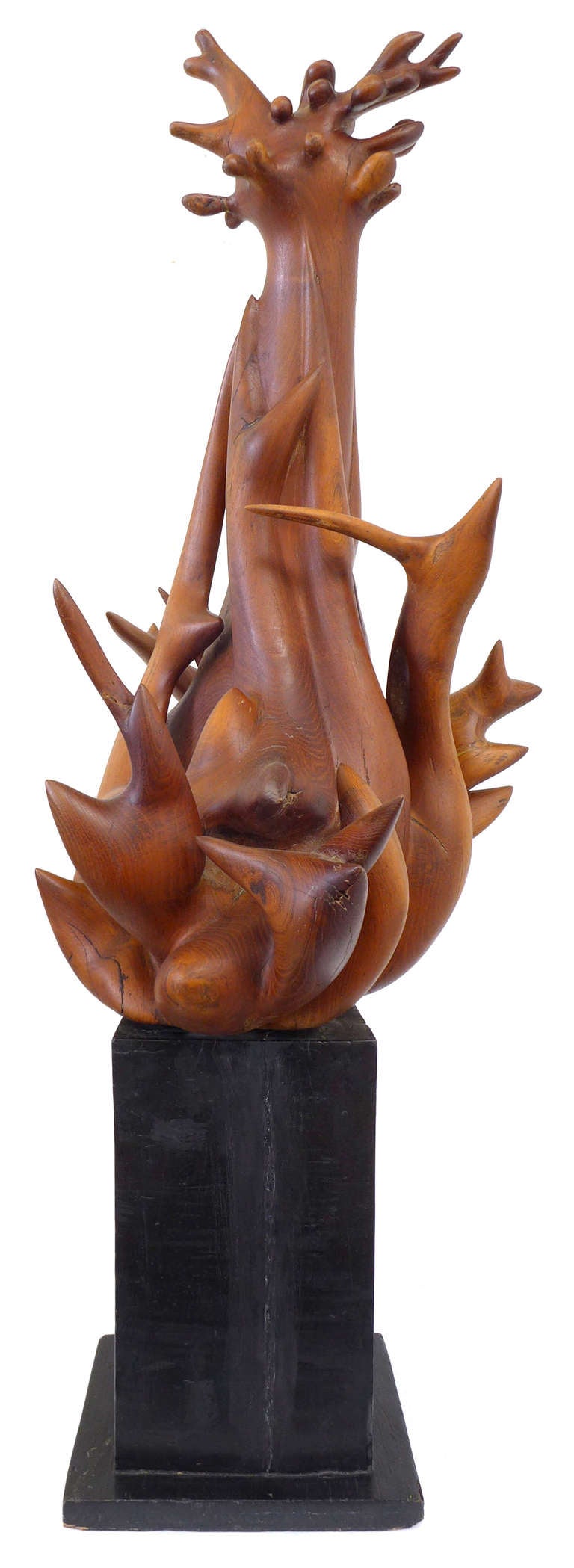 Mid-20th Century Remarkable Biomorphic Carved Wood Sculpture by Robin Spry Campbell