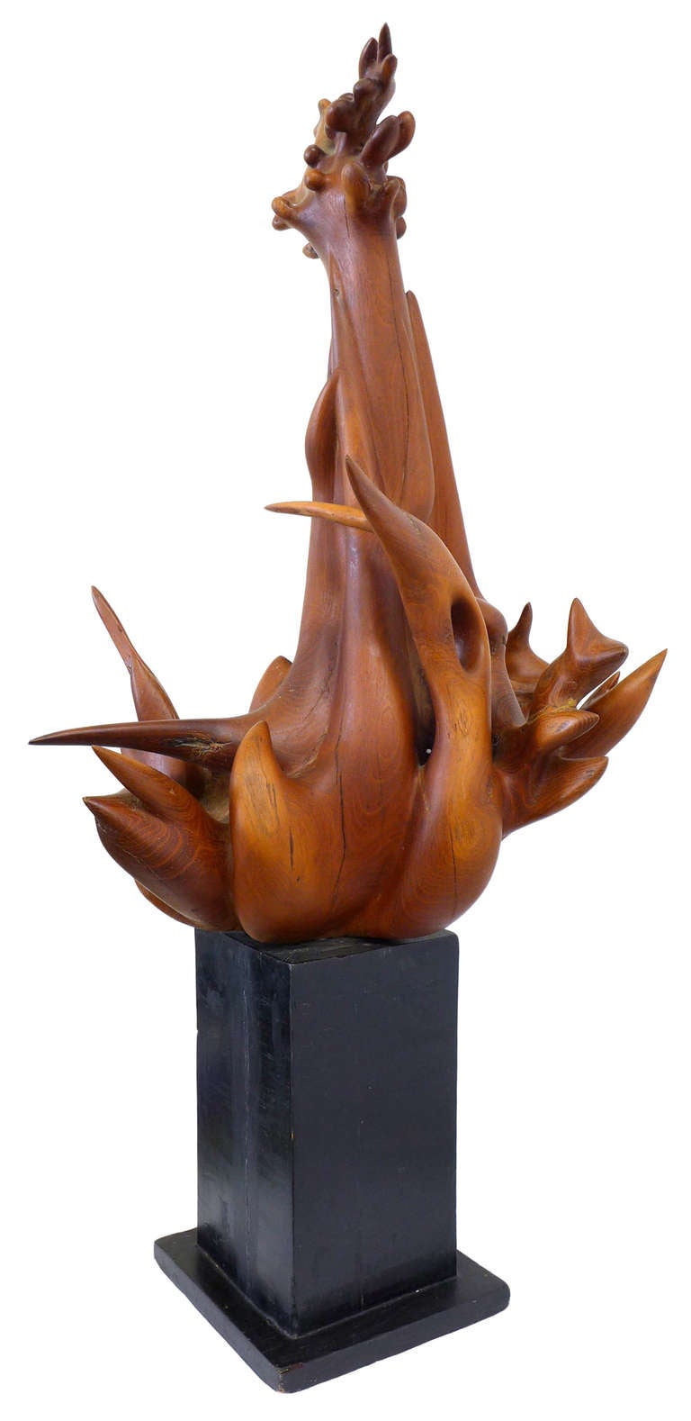 Remarkable Biomorphic Carved Wood Sculpture by Robin Spry Campbell 1