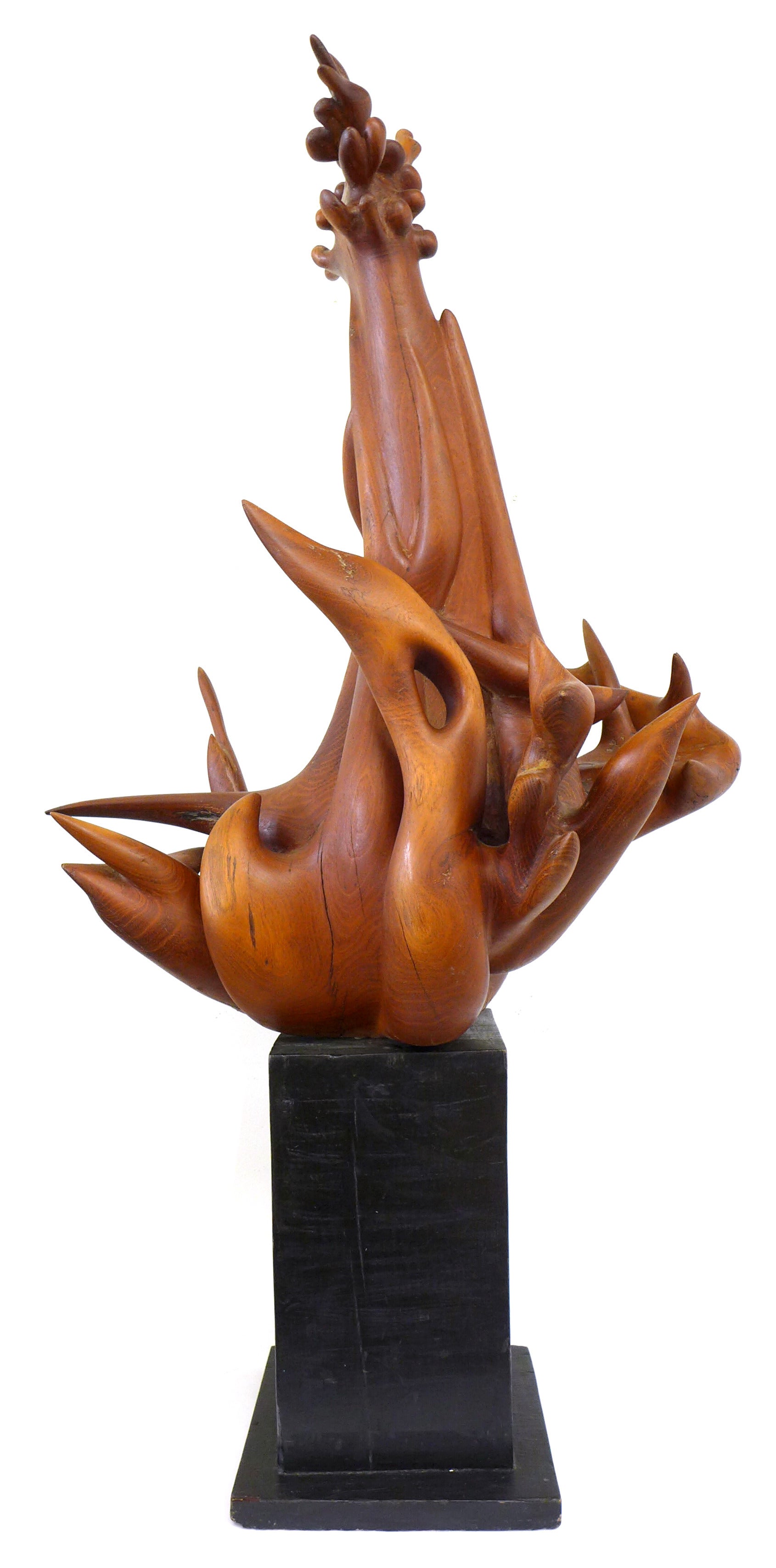 Remarkable Biomorphic Carved Wood Sculpture by Robin Spry Campbell