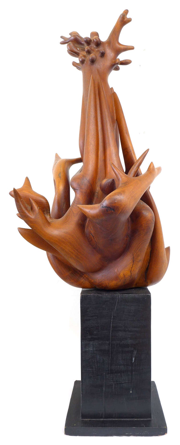 American Remarkable Biomorphic Carved Wood Sculpture by Robin Spry Campbell