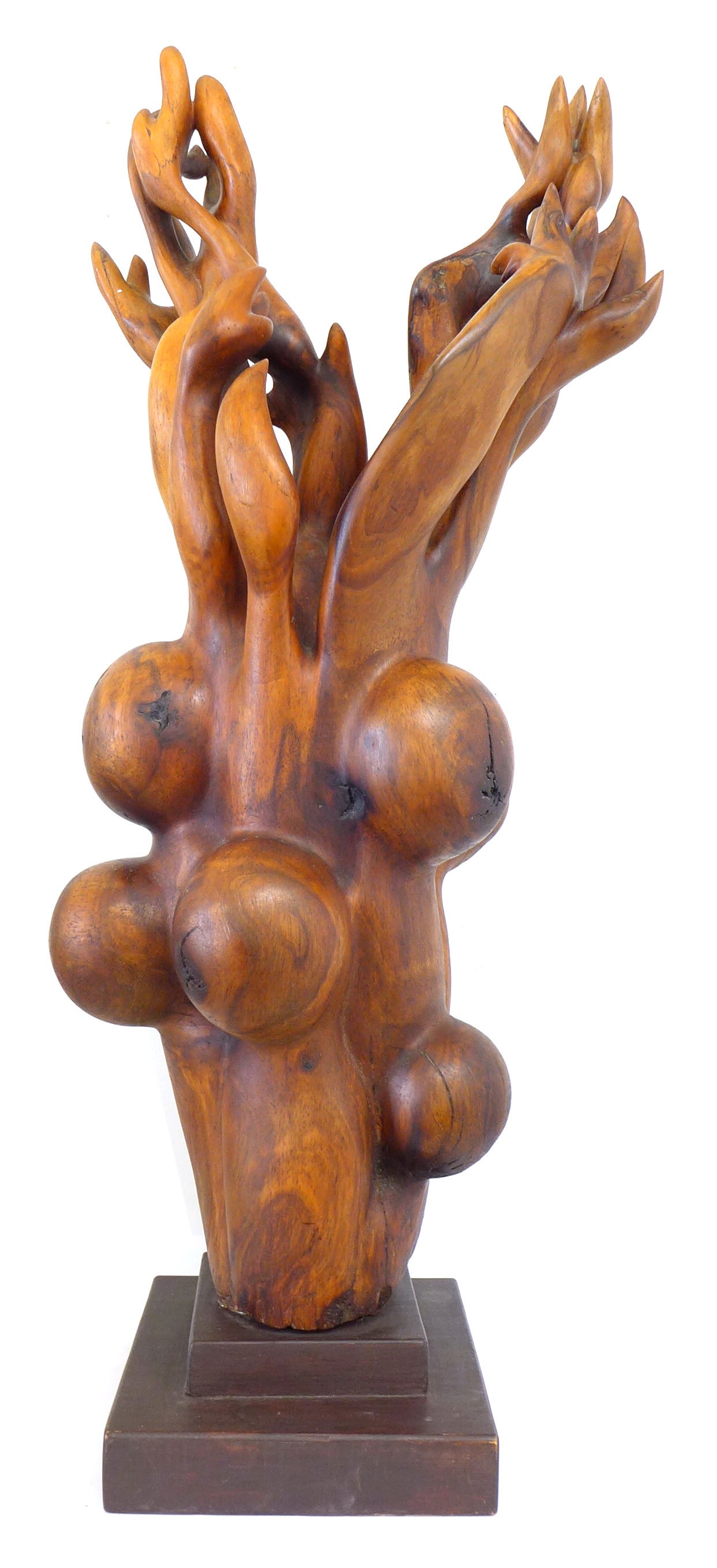 Extraordinary Biomorphic Carved Wood Sculpture by Robin Spry Campbell