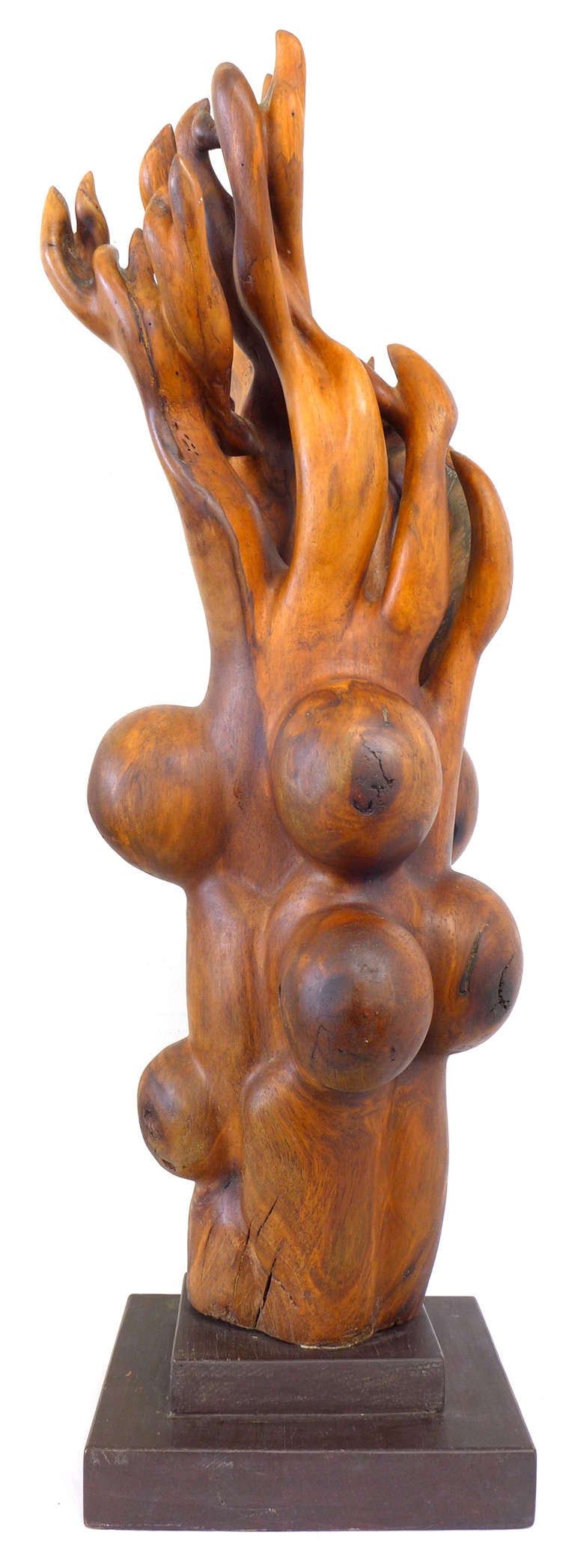 American Extraordinary Biomorphic Carved Wood Sculpture by Robin Spry Campbell