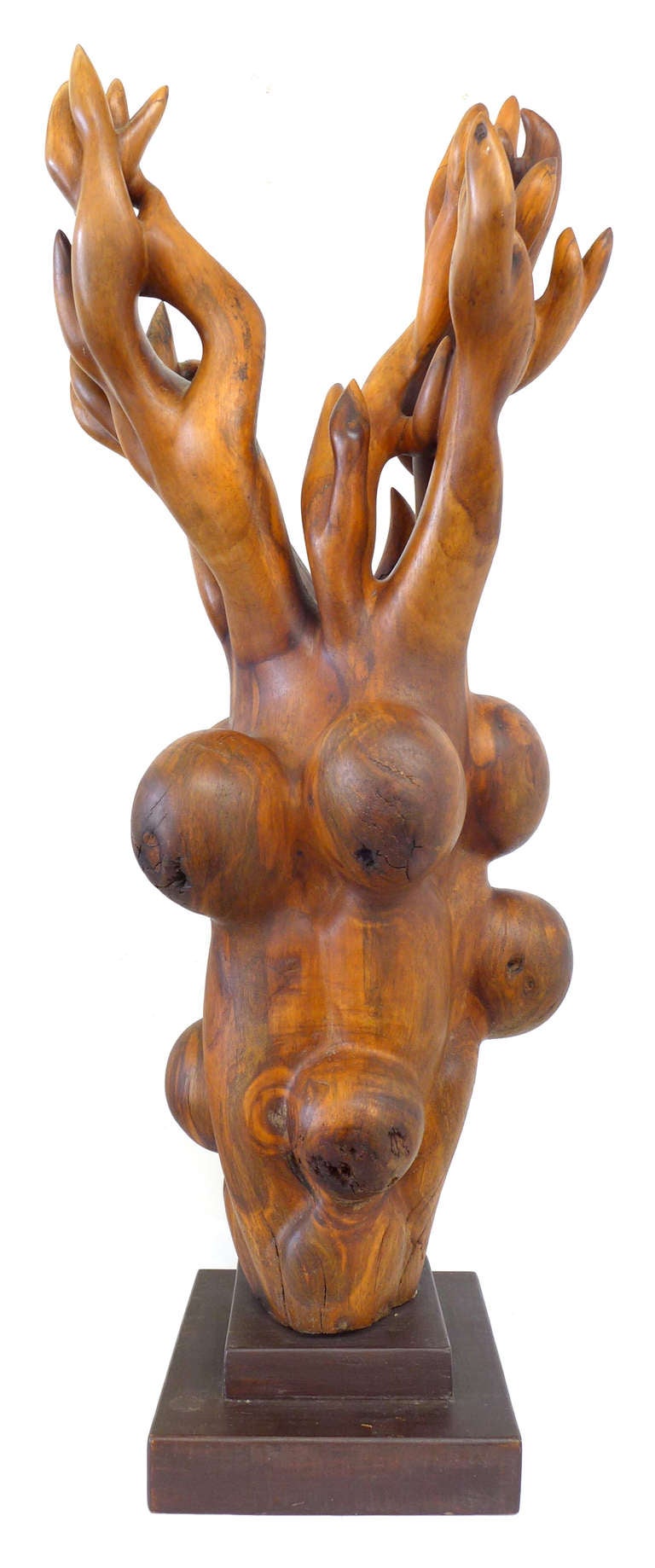 Extraordinary Biomorphic Carved Wood Sculpture by Robin Spry Campbell In Good Condition In Los Angeles, CA