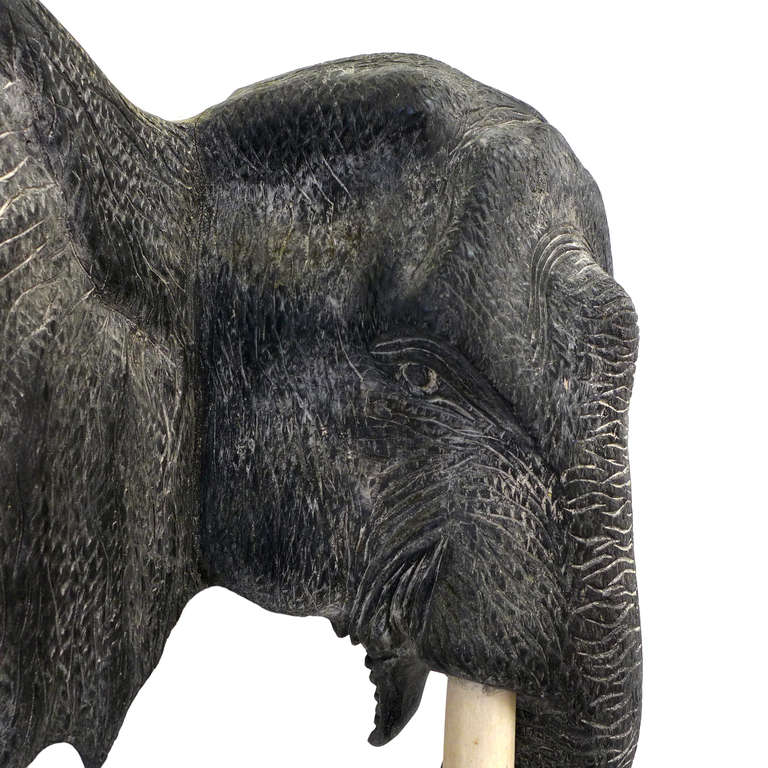 Provincial français Tête d'éléphant en bois merveilleusement sculptée