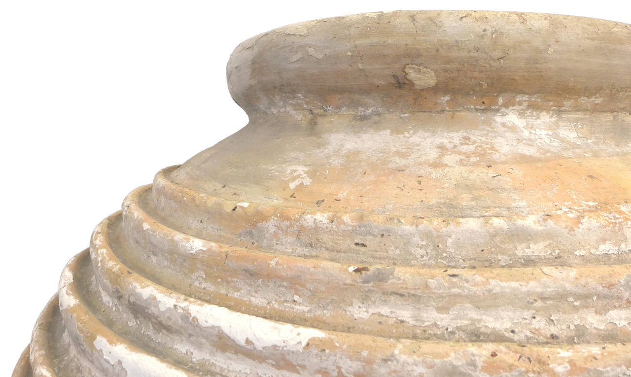 olive oil terracotta jar