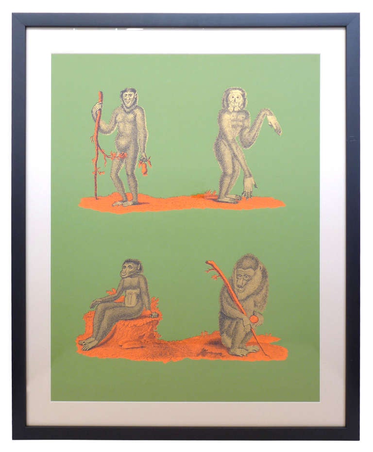 Wonderfully playful, psychedelic serigraph prints featuring naturalist primates at four different stages of evolution.  With a palette pushing Op Art sensibility (vibrant orange, yellow and magenta on backgrounds of either sky blue or pistachio)