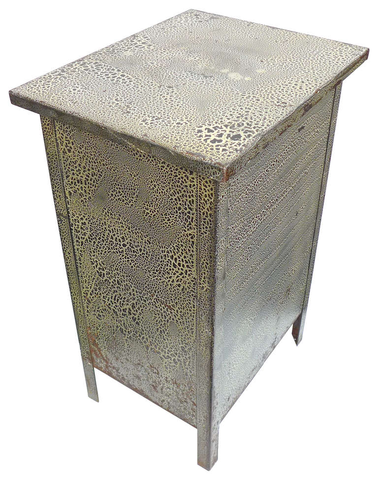 Sheet Metal Incredible Alligator Finish Industrial Cabinet