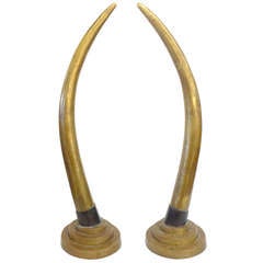 Fantastic Pair of Massive Brass Tusks