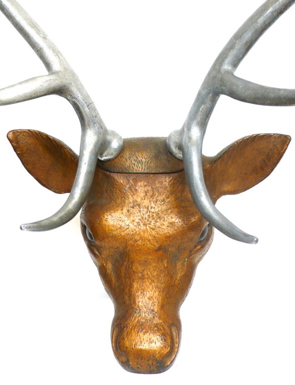 elk eyes