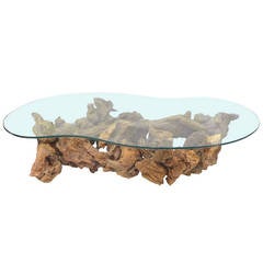 Glass-Top Coffee Table of Drift and Burl Woods