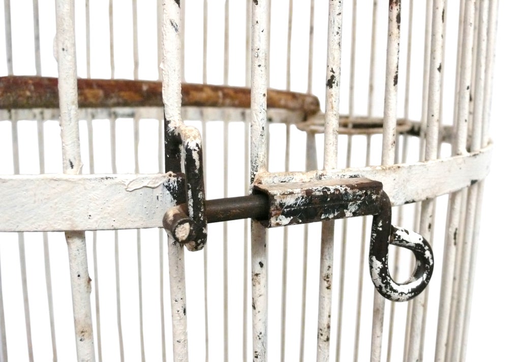 American Massive Mid-Century Iron Bird Cage