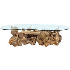 Glass-Top Coffee Table of Drift & Burl Woods